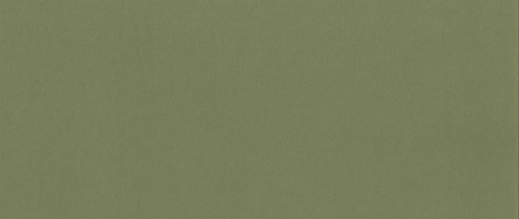 Matt_velvet_34.jpg