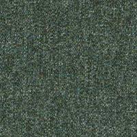 ALLEGRO_FOREST.jpg